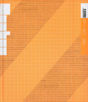 Stefan Gandl, Christoph Grünberger, «Neubau Modul: Electronic & Analogue Patterns (+DVD)» - обложка книги
