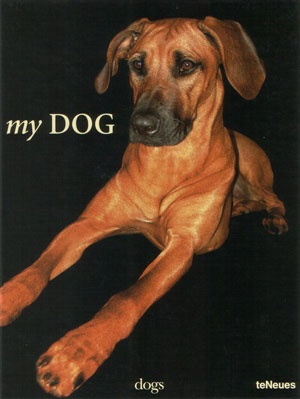Stephanie Grütz, «My Dog» - обложка книги