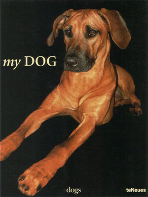 Stephanie Grütz - My Dog /   -  