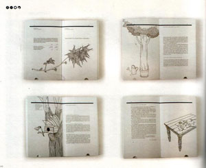 Lin Shijian, «Art in Book» - страница из книги