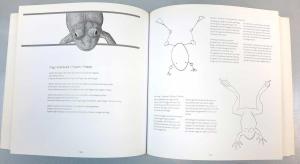 ������� ����, &laquo;��� �������� ��������. ��� �� �����&raquo; - �������� �� �����