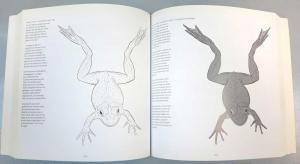 ������� ����, &laquo;��� �������� ��������. ��� �� �����&raquo; - �������� �� �����