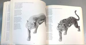 ������� ����, &laquo;��� �������� ��������. ��� �� �����&raquo; - �������� �� �����