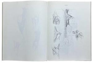 ��� ������, &laquo;�������� ��� ����������&raquo; - �������� �� �����